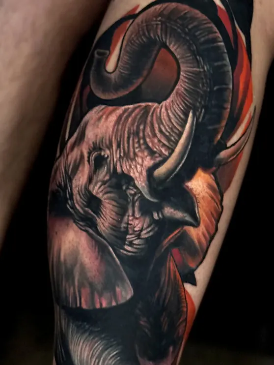 Tête d'éléphant réaliste couleur, mollet, fond flammes orangées, tatouage Africa